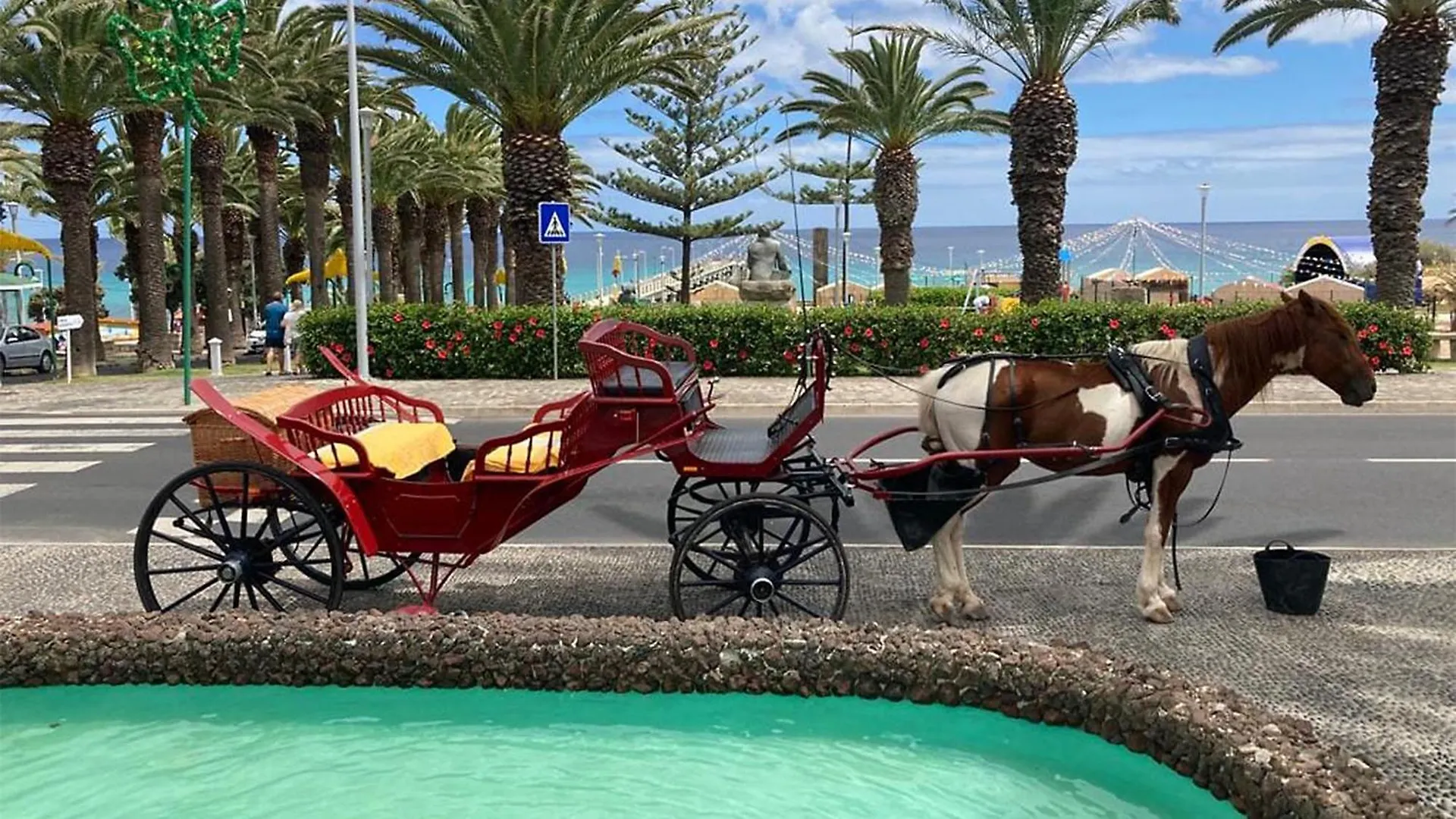 Апартаменты Sea And Sun 4 You - Porto Santo T0